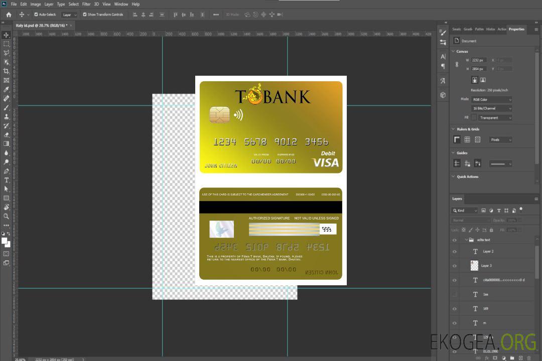 Carte visa bancaire T du Bhoutan template Carte visa bancaire T du Bhoutan template